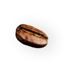 demo-attachment-41-coffee-beans-P4MXYZD7@2x