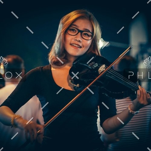 demo-attachment-294-beautiful-blur-bowed-instrument-71436