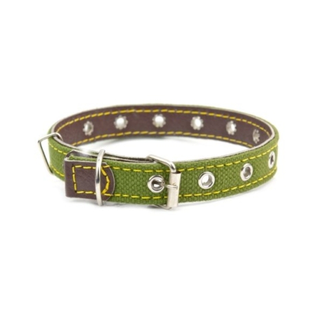 demo-attachment-31-dog-collar-P92XPL5
